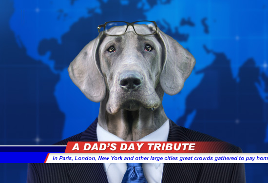 Dad’s Day News Hound (Talking Card)